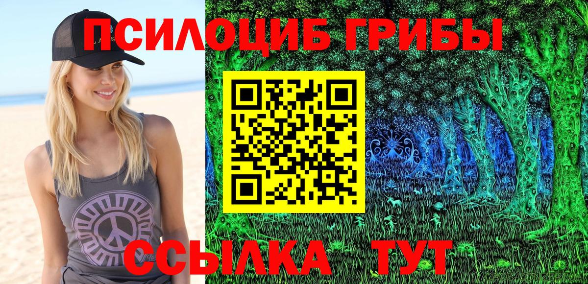 Галлюциногенные грибы MAGIC MUSHROOMS Гусев